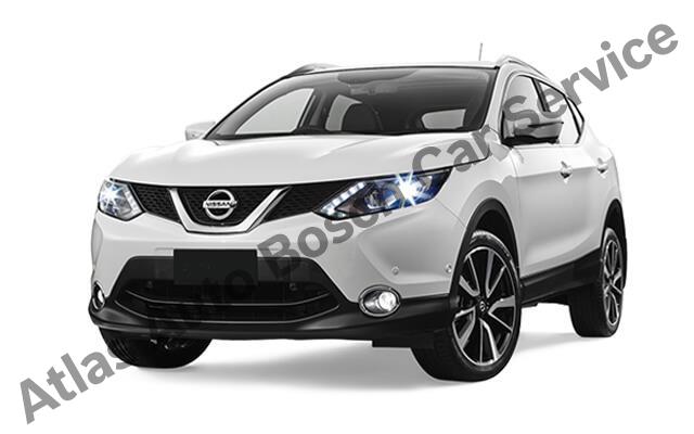 Nissan Özel Servis